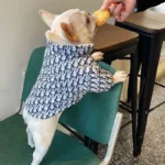 frenchie space shop hautehound french bulldog jacket