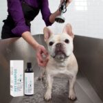 frenchie space shop hypoallergenic french bulldog shampoo