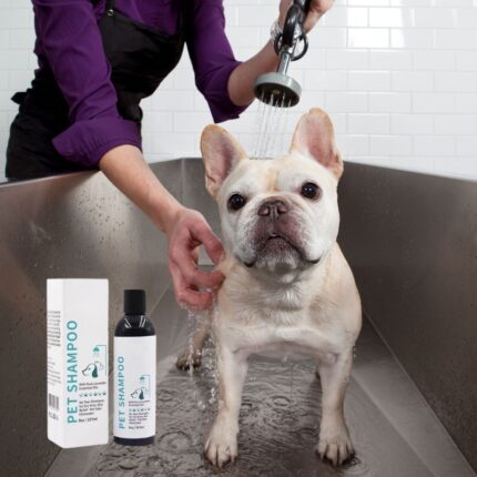 frenchie space shop hypoallergenic french bulldog shampoo