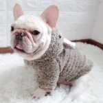 frenchie space shop koala french bulldog hoodie