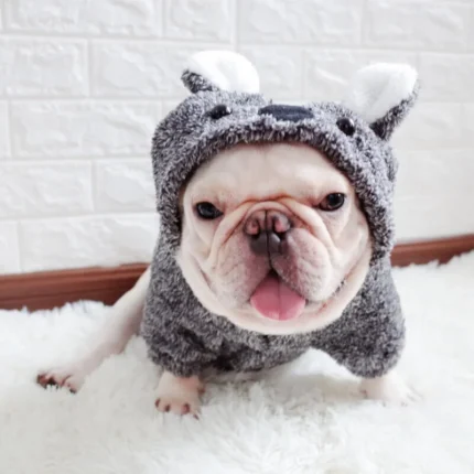 frenchie space shop koala french bulldog hoodie