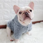 frenchie space shop koala french bulldog hoodie
