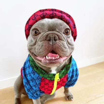 frenchie space shop multiblocks french bulldog jacket set