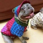 frenchie space shop multiblocks french bulldog jacket set