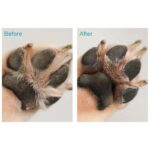 frenchie space shop natural french bulldog paw balm