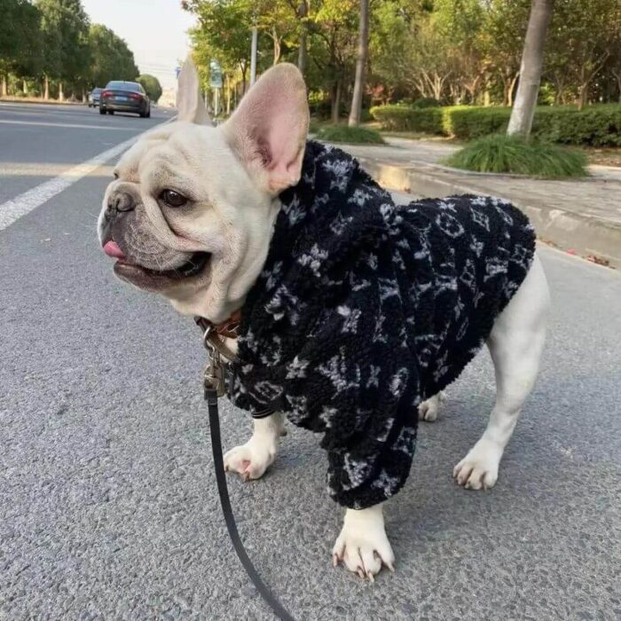 frenchie space shop noir french bulldog jacket