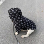 frenchie space shop noir french bulldog jacket