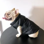 frenchie space shop pawda french bulldog vest
