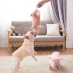 frenchie space shop plushypig french bulldog toy