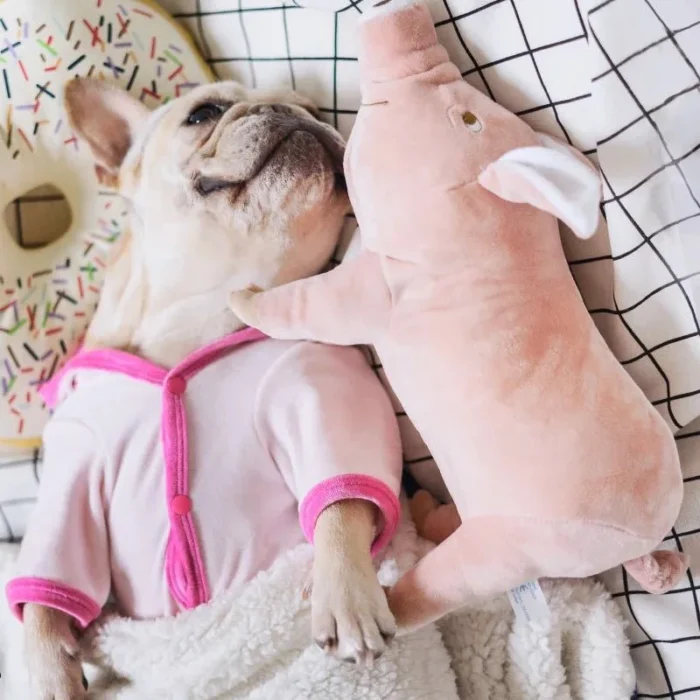 frenchie space shop plushypig french bulldog toy