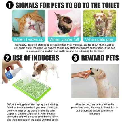 frenchie space shop potty training frenchie spray