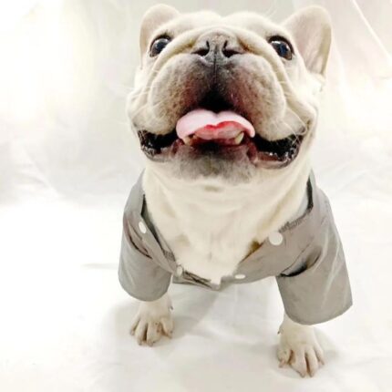frenchie space shop reflective french bulldog raincoat