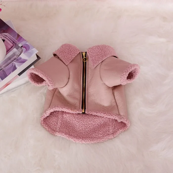 frenchie space shop sandytouch french bulldog jacket