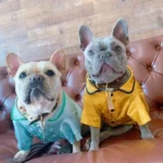 frenchie space shop satintouch french bulldog pajamas