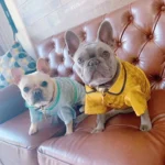 frenchie space shop satintouch french bulldog pajamas