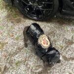 frenchie space shop shinypink french bulldog jacket