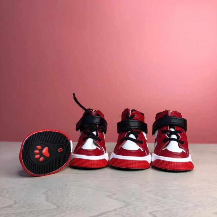 frenchie space shop sporty french bulldog shoes