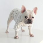frenchie space shop spring french bulldog tshirt
