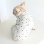 frenchie space shop spring french bulldog tshirt