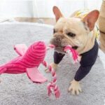 frenchie space shop squeaky flamingo frenchie toy