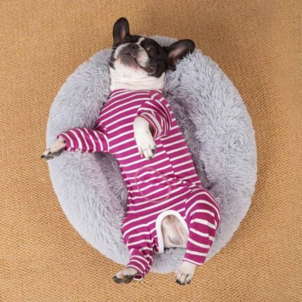 frenchie space shop striped french bulldog pajamas