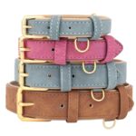frenchie space shop suede french bulldog collar