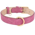 frenchie space shop suede french bulldog collar