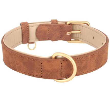 frenchie space shop suede french bulldog collar
