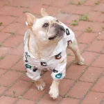 frenchie space shop teddy french bulldog windbreaker
