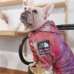 frenchie space shop tye-die windbreaker frenchie raincoat