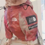 frenchie space shop tye-die windbreaker frenchie raincoat