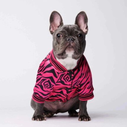 frenchie space shop vogue french bulldog jacket