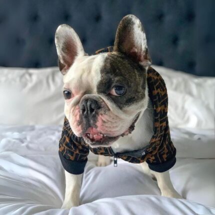 frenchie space shop warmchoco frenchie jacket