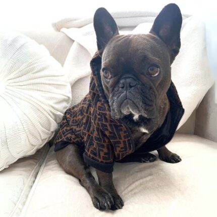 frenchie space shop warmchoco frenchie jacket