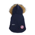frenchie space shop winter parka french bulldog jacket