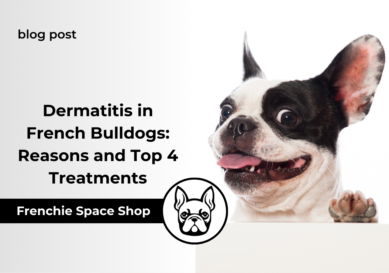 dermatitis in frenchies