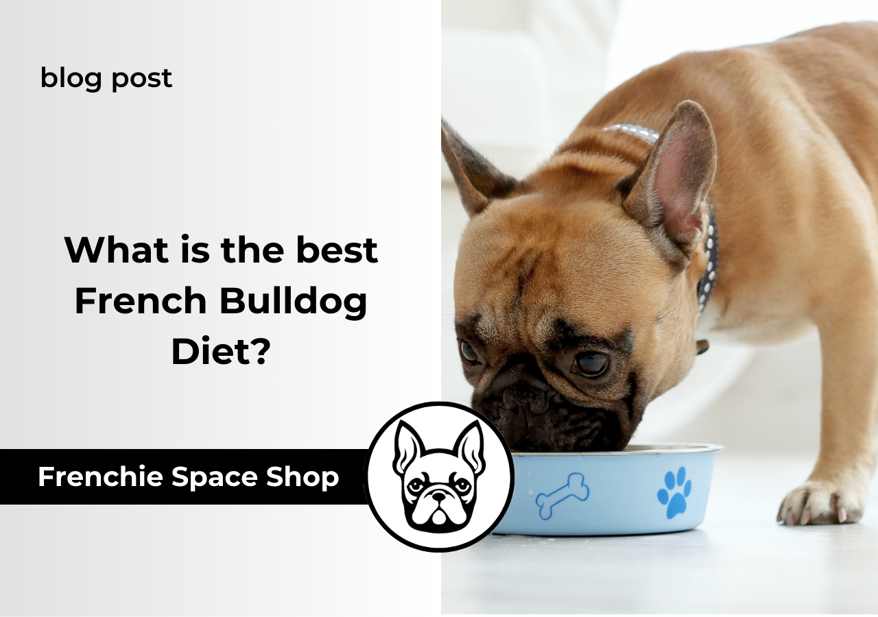 french bulldog diet