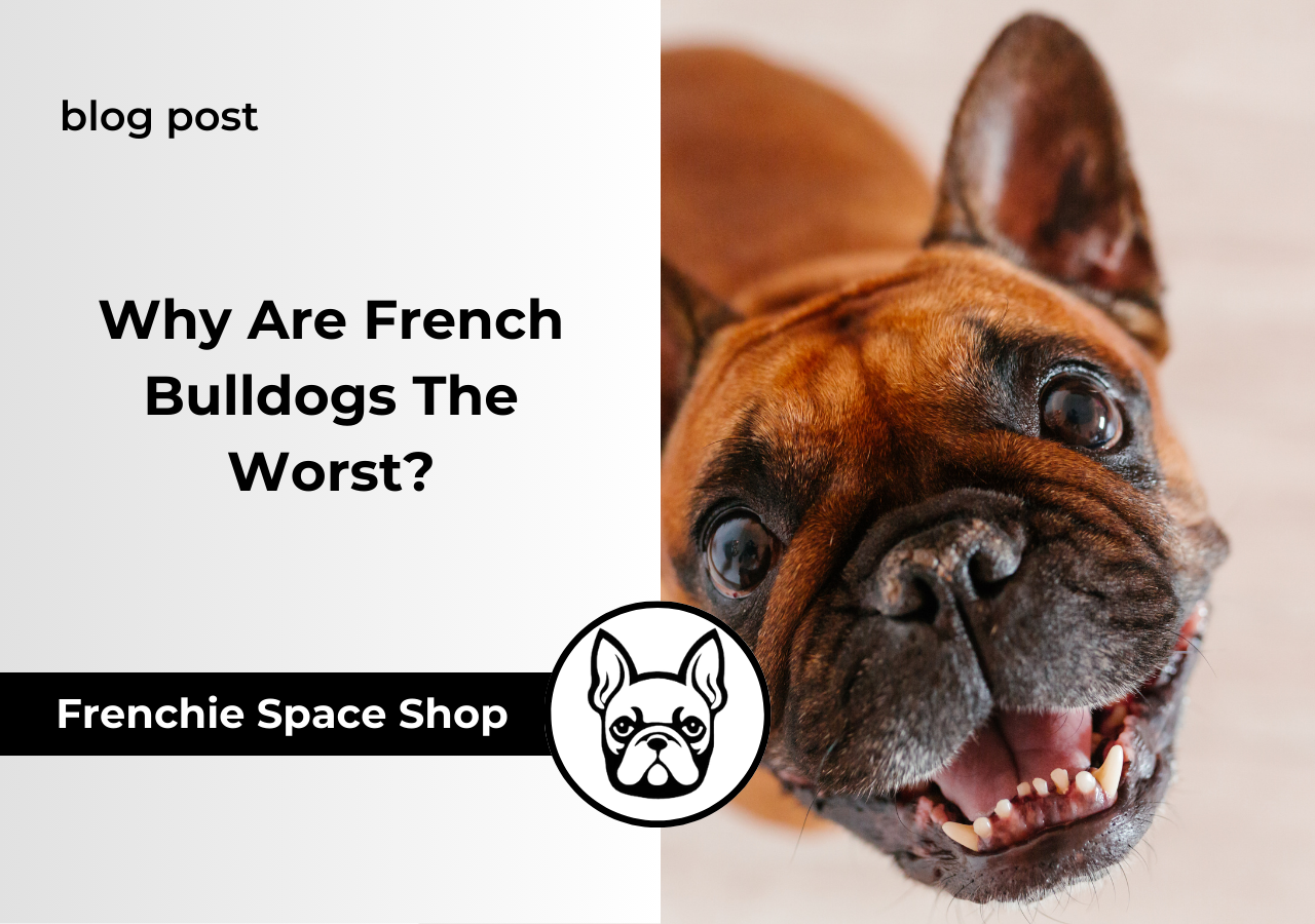 french bulldogs are the worst