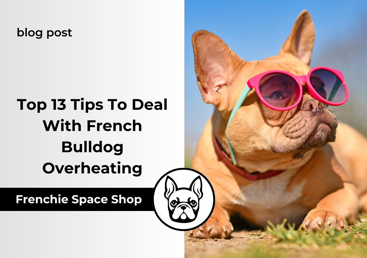french bulldog heat stroke