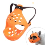 frenchie space flatsnout french bulldog muzzle