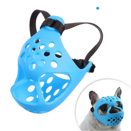 frenchie space flatsnout french bulldog muzzle