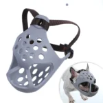 frenchie space flatsnout french bulldog muzzle