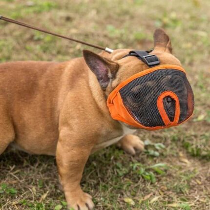 frenchie space french bulldog mesh muzzle