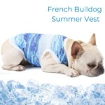 frenchie space french bulldog summer vest