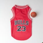 frenchie space shop basketball french bulldog vest