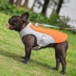 frenchie space shop cooling french bulldog vest