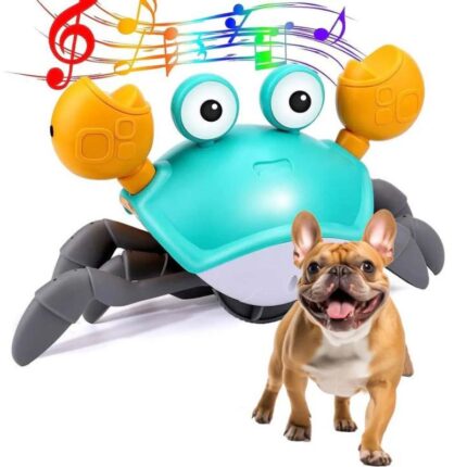 frenchie space shop running crab frenchie toy