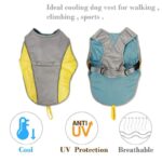 frenchie space shop summer safety frenchie vest