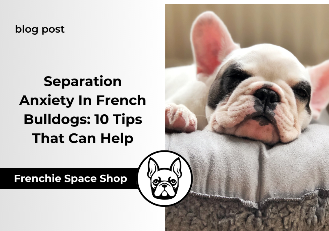 frenchie feels anxious