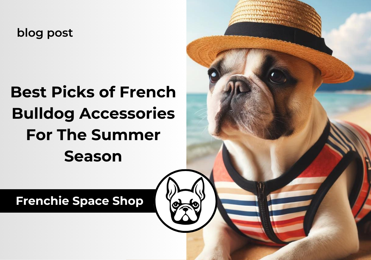 french bulldog accessories